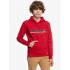 QUIKSILVER - ALL LINED UP HOOD